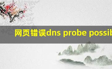 网页错误dns probe possible